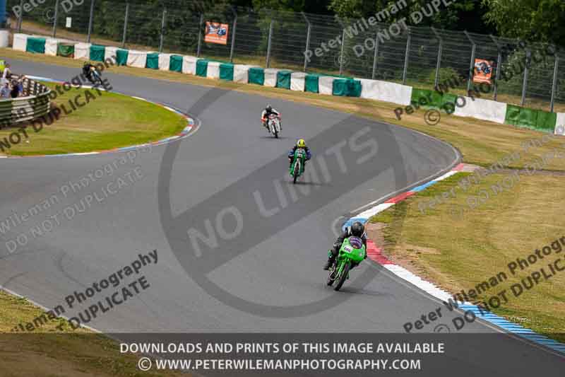 Vintage motorcycle club;eventdigitalimages;mallory park;mallory park trackday photographs;no limits trackdays;peter wileman photography;trackday digital images;trackday photos;vmcc festival 1000 bikes photographs